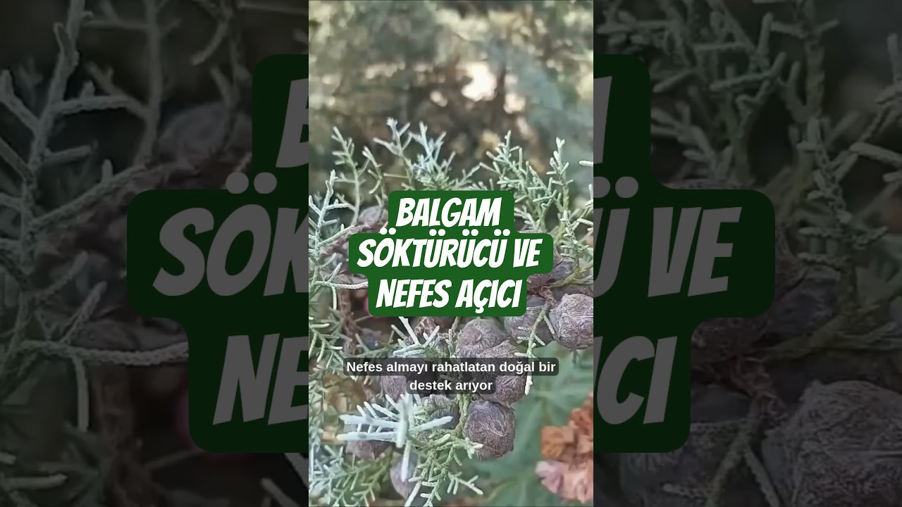 Pekmezi Her Derde Deva | Balgam Söktürücü ve Nefes Açıcı