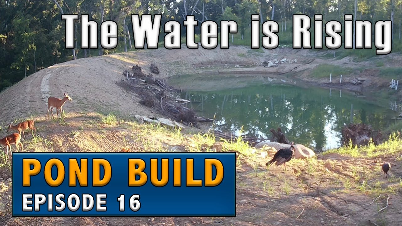 Filling Water in a New Pond with a Well Pump -Franklin Cerus X-Drive Pump