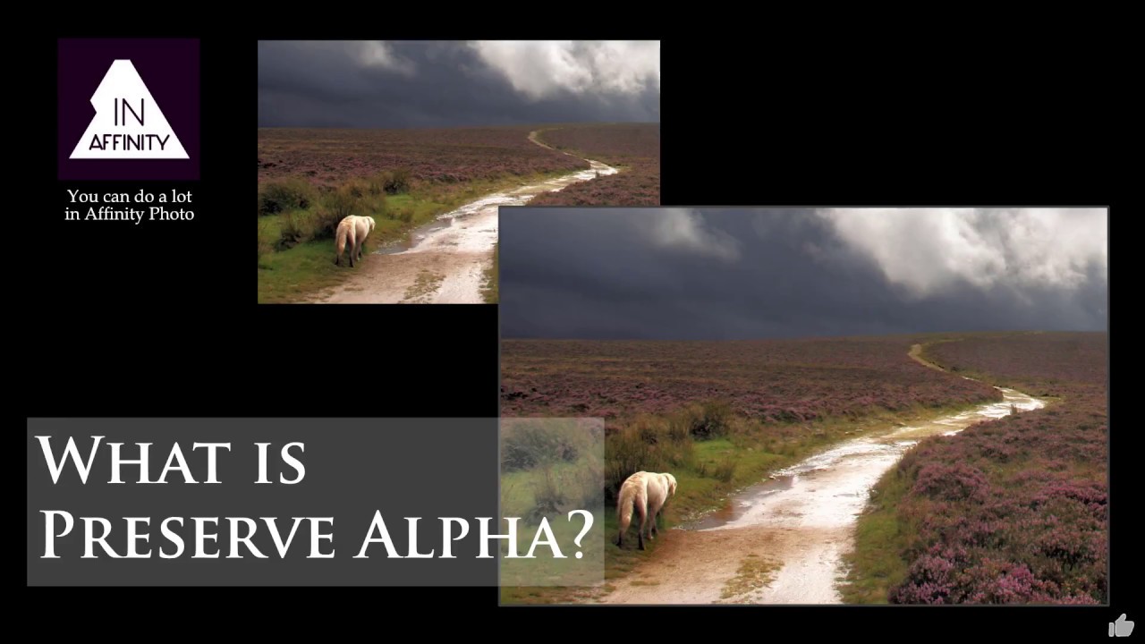 What is 'Preserve Alpha' in Affinity Photo?
