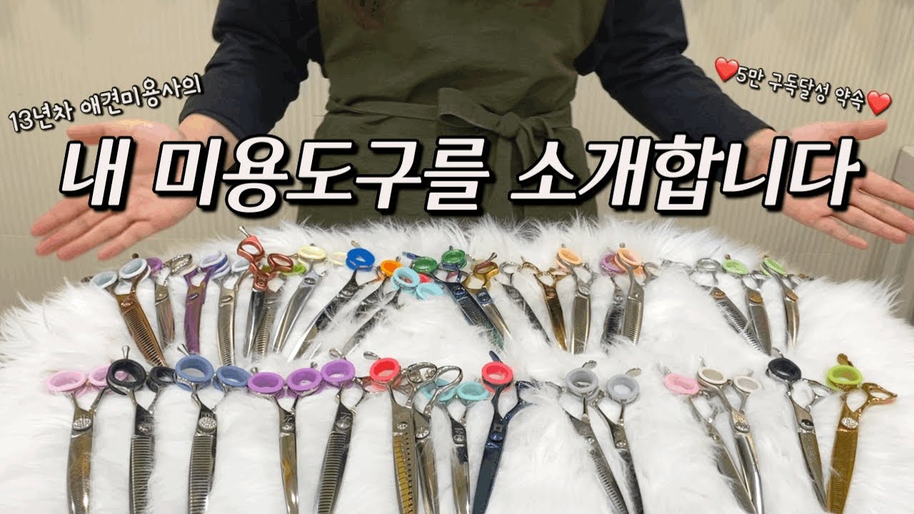 애견미용는 장비빨~?! 프로 애견미용사 장비소개 / Introduction of tools used by professional dog groomers.