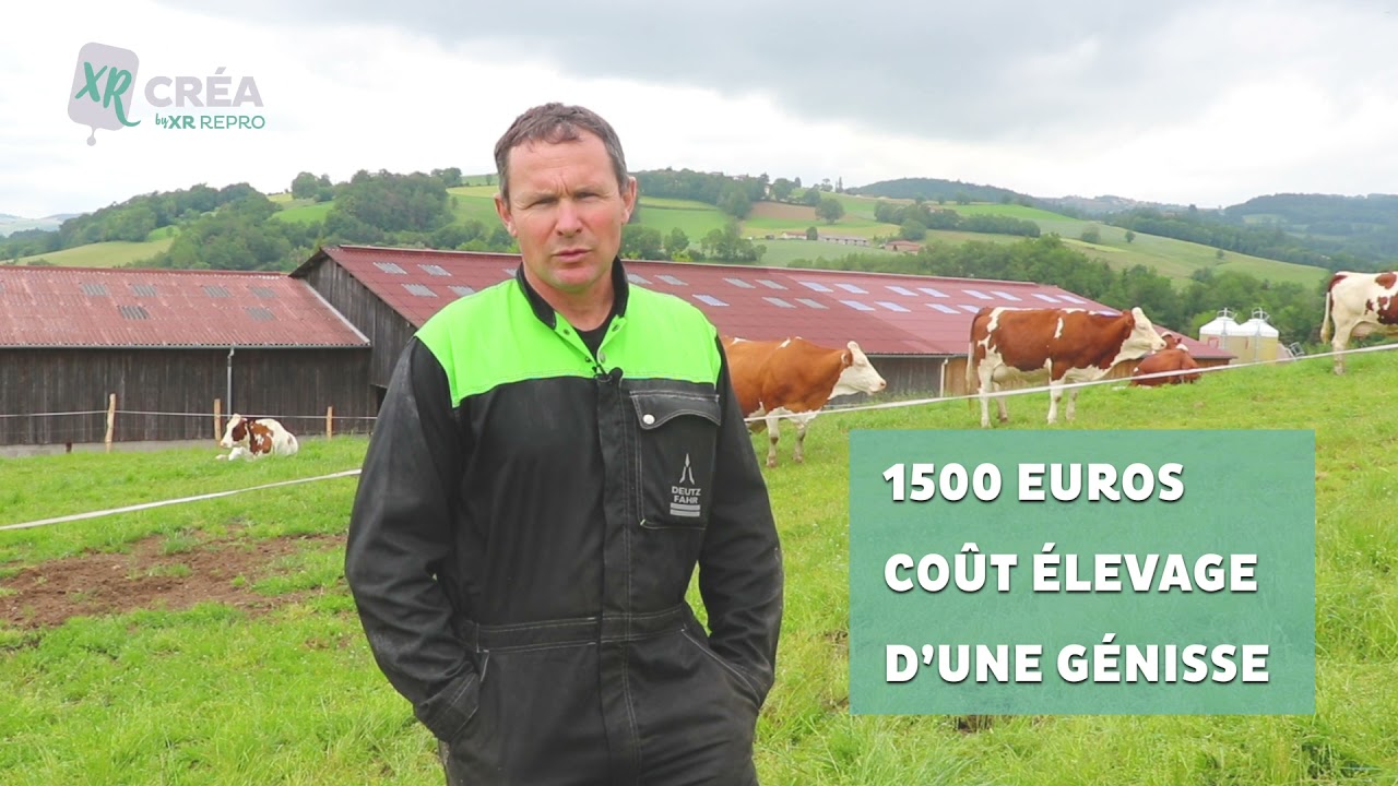 En quoi la longévité du troupeau permet-elle de sécuriser le bilan fourrager ?