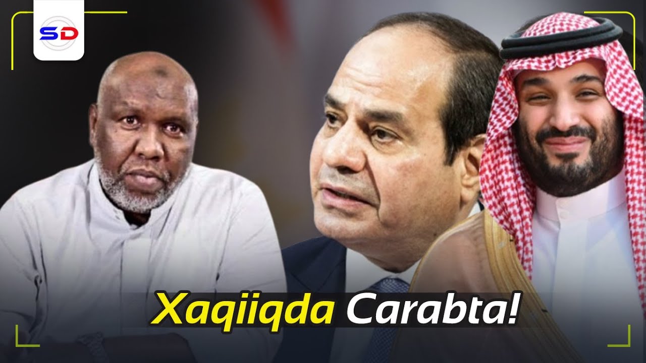 Dhibaatada aan La Fahmin ee Wadamada Carabta Haysata ~ Xog  | Sheekh Cabdiraxmaan Bashiir