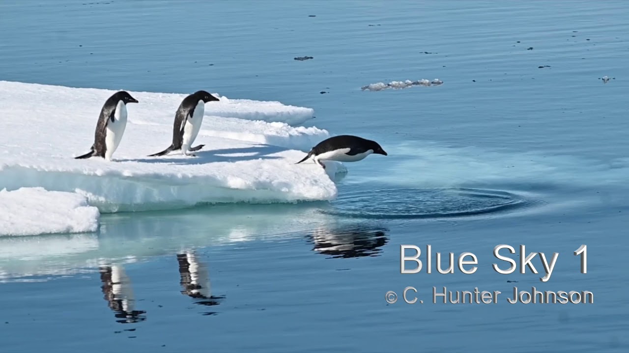 Blue Sky 1 Music - Good Morning @ C. Hunter Johnson TV