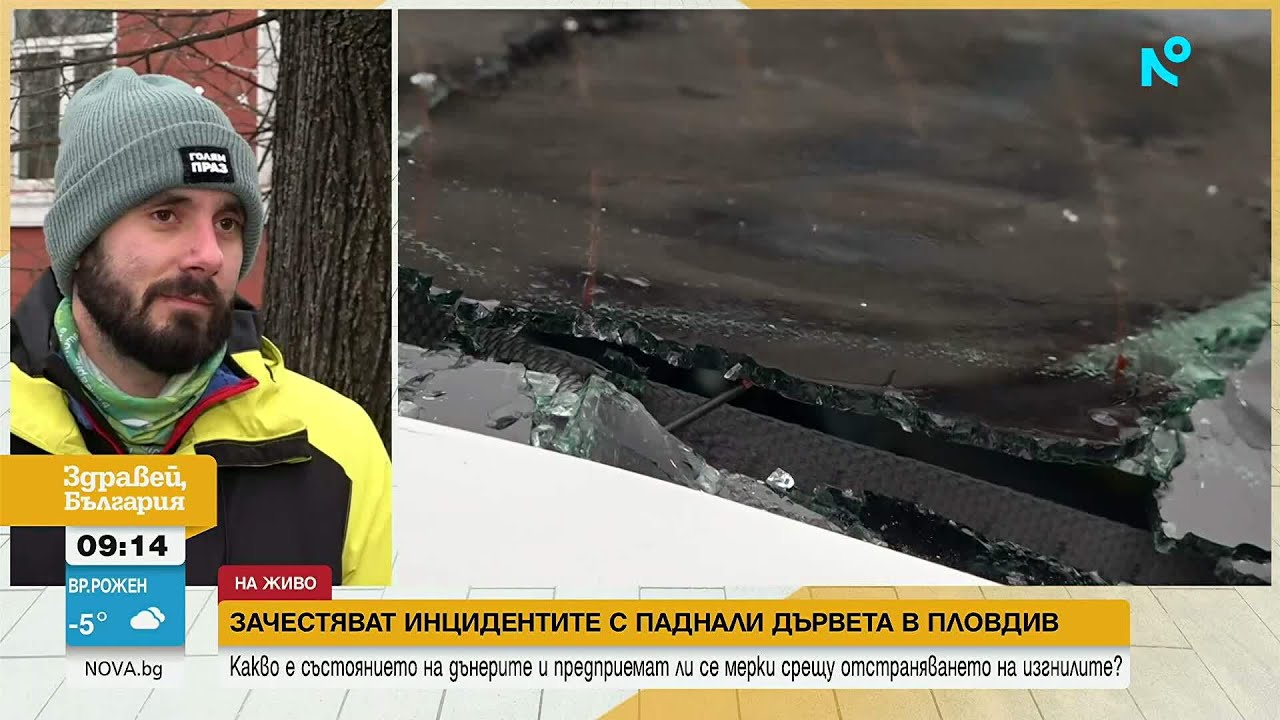 След снеговалежа в Пловдив: Съборени огромни дървета и клони и премазани коли