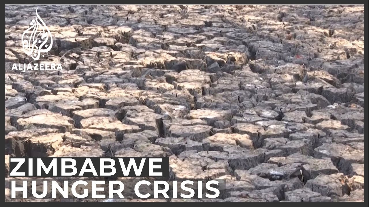 Nearly half of Zimbabweans face hunger, starvation