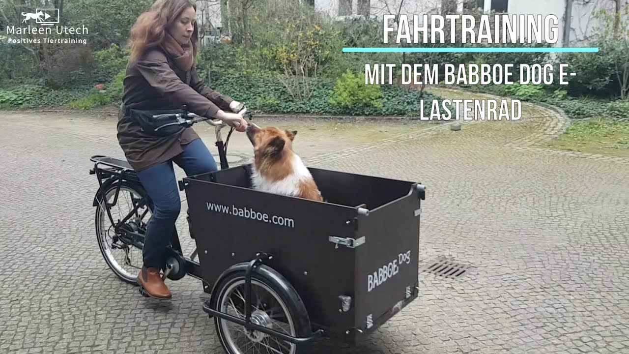 Babboe Dog- E Lastenrad - Fahrtraining mit Hund