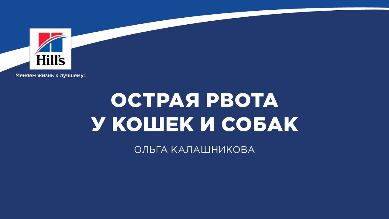 Вебинар на тему: “Острая рвота у кошек и собак”. Лектор - Ольга Калашникова.