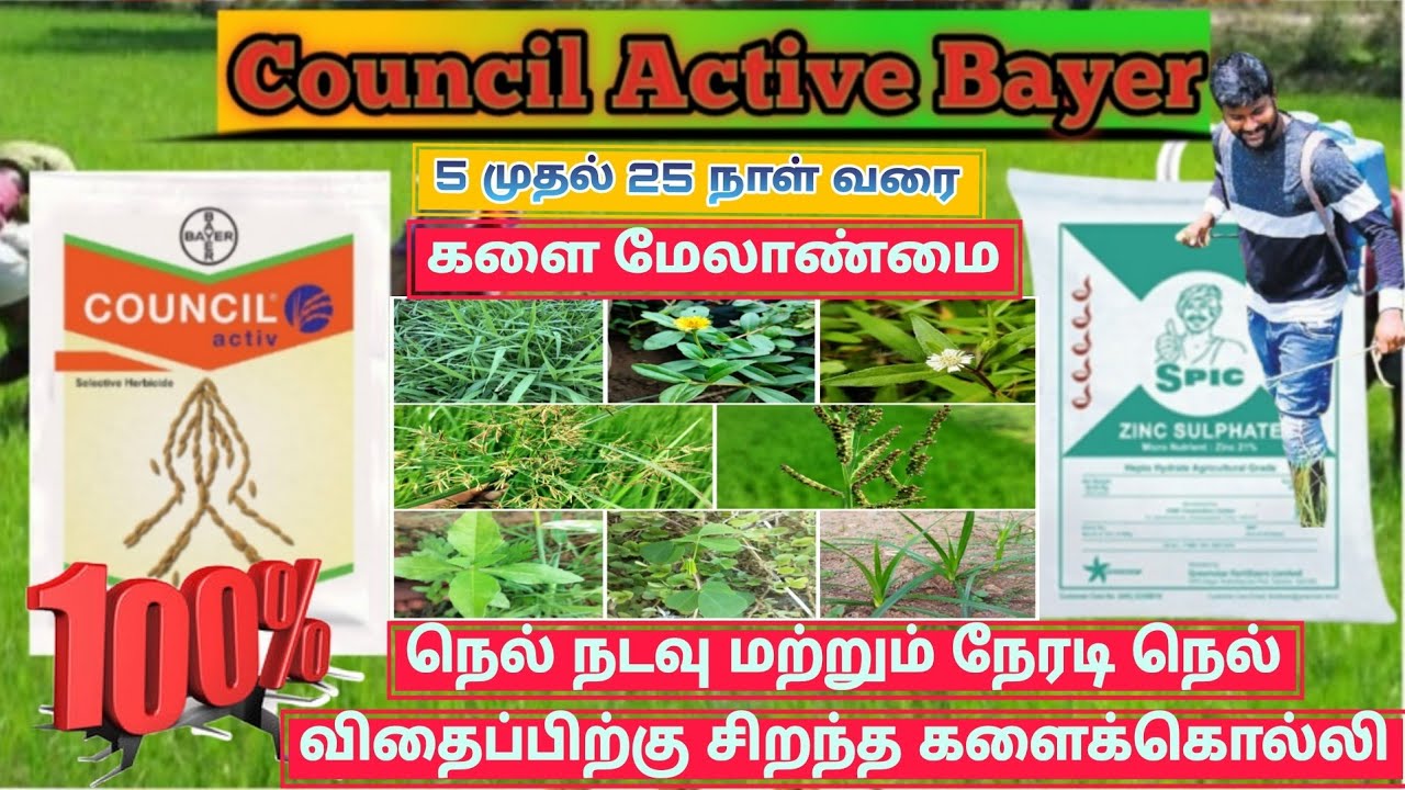 🌾🌾Council Active Bayer Haribicide Tamil | நெல் நடவு மற்றும் நேரடி நெல் விதைப்பிற்கு களைக்கொல்லி 🌾🌾