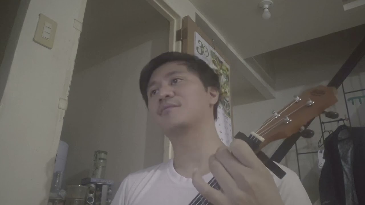 Noah Kahan (feat. Wesley Schultz) - I We Were Vampires (Ukelele / Song Cover)