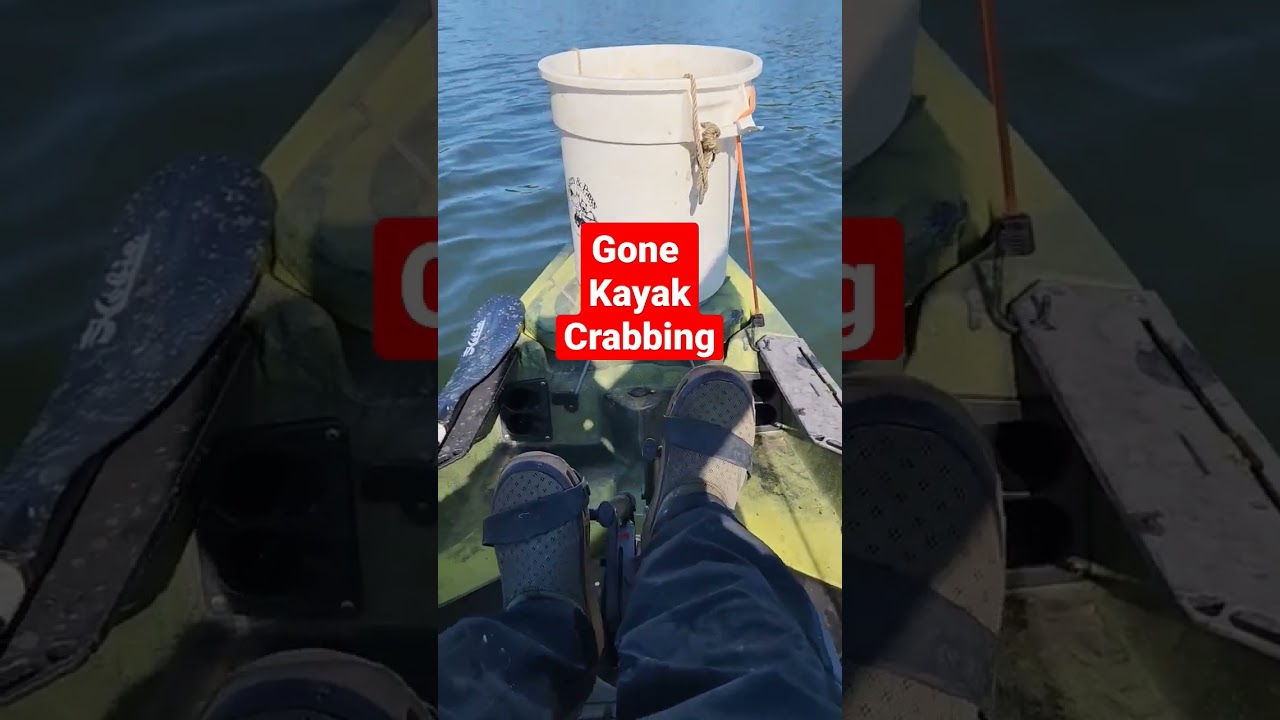 Went kayak crabbing today. #short