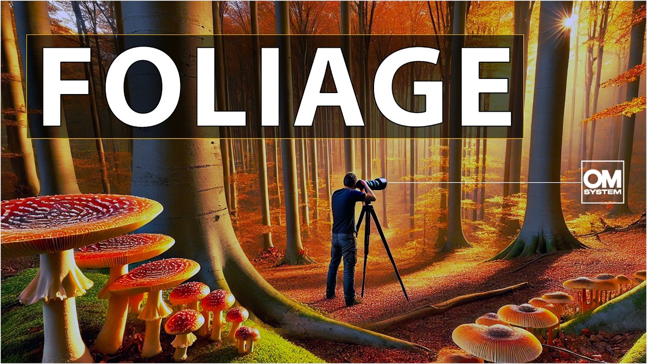 Foliage e Funghi Giganti nel Parco dei Monti Simbruini - Fotografare l'autunno a 2 passi da Roma