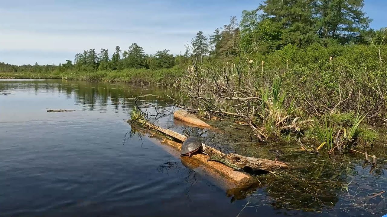 Exploring Lake Brevoort