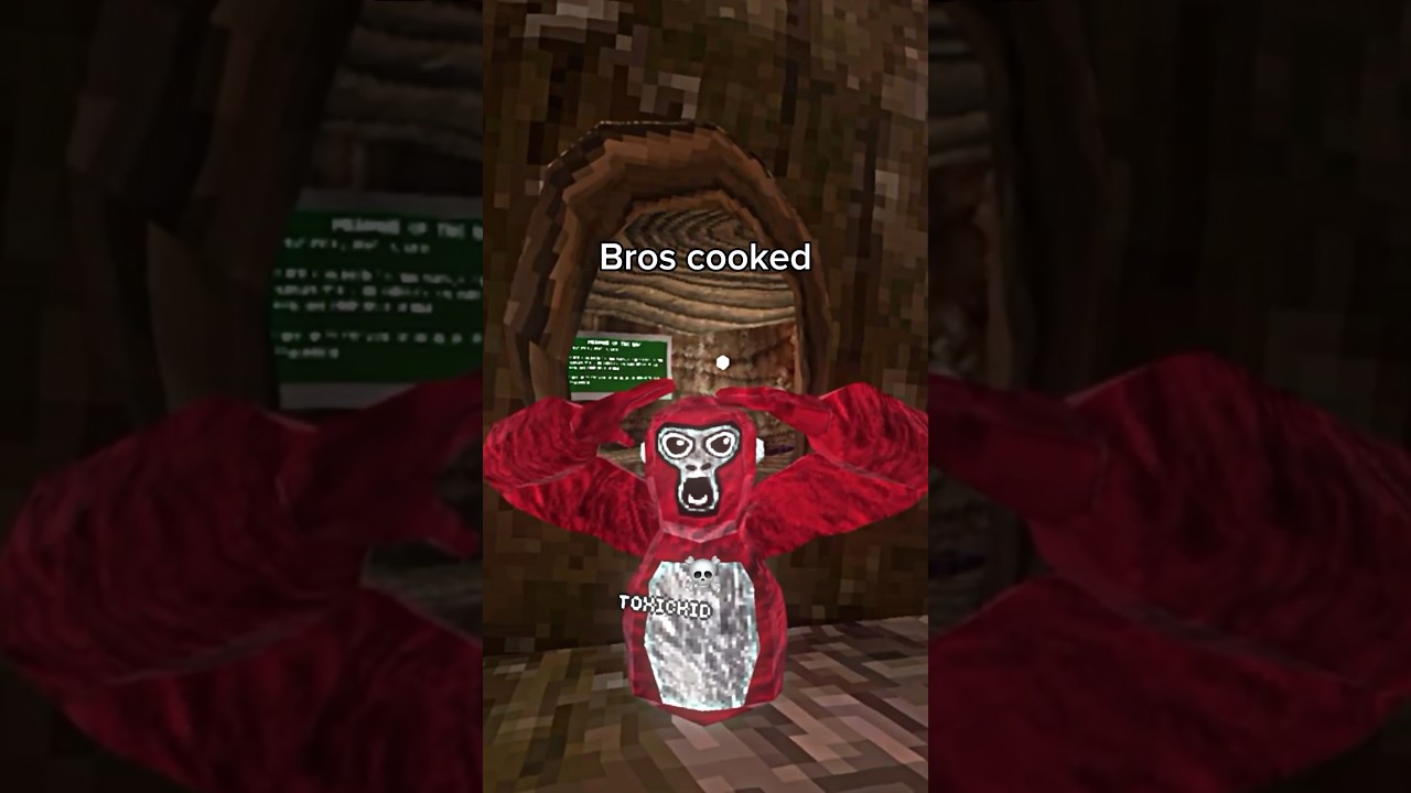 People who would cook Toxic players | #gorillatag #vr #gtag #shorts