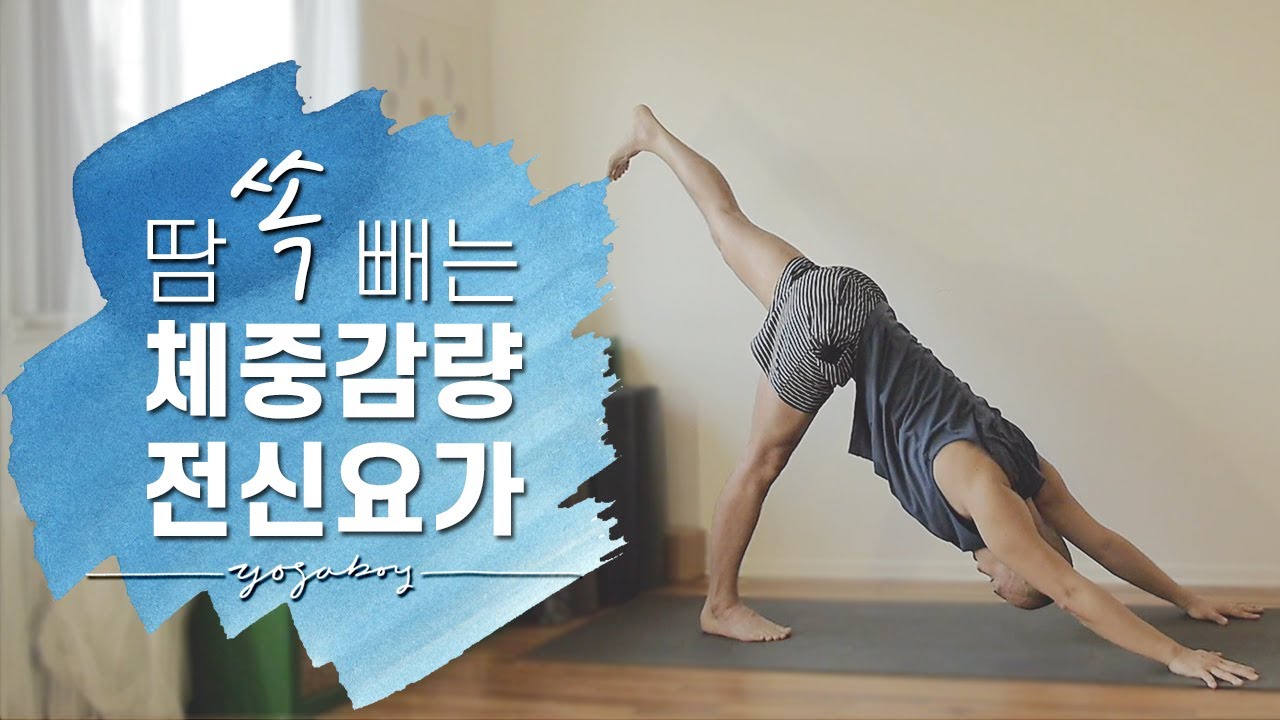 체중감량을 위한 전신 유산소 요가 | 30분 요가 | 요가소년 317