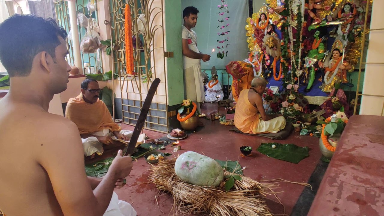 Bali Dan Durga puja 2020 Maha saptami Bolidan