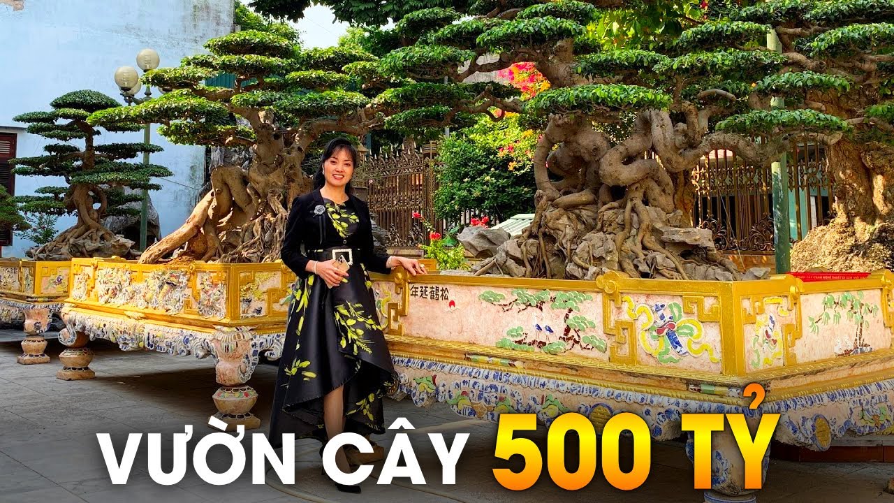 Những Thú Chơi Ngông Bạc Tỷ Của Các Đại Gia Việt Khiến Thế Giới Ngỡ Ngàng! | Giới Thượng Lưu