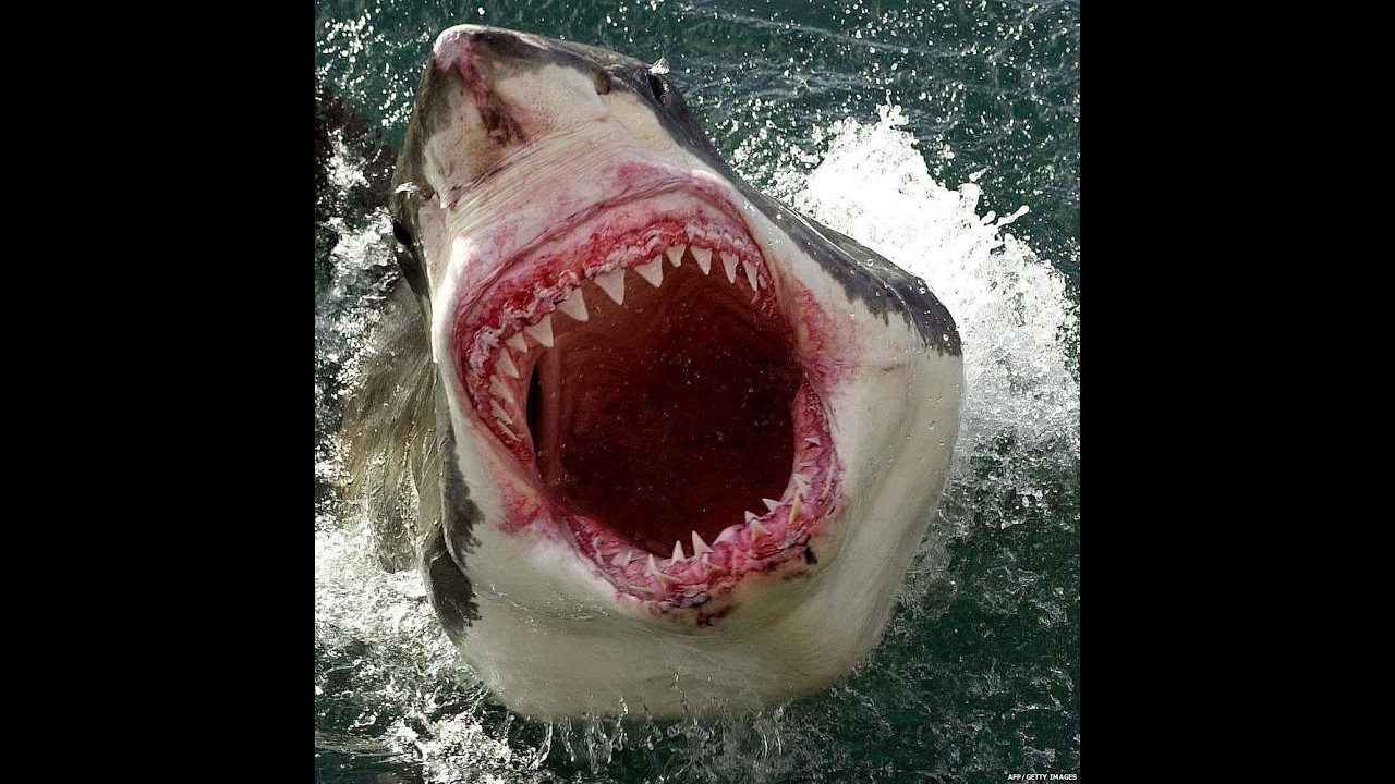 Blake Tyler - Shark Attack (Instrumental) [Produced by XAVtheWAV]
