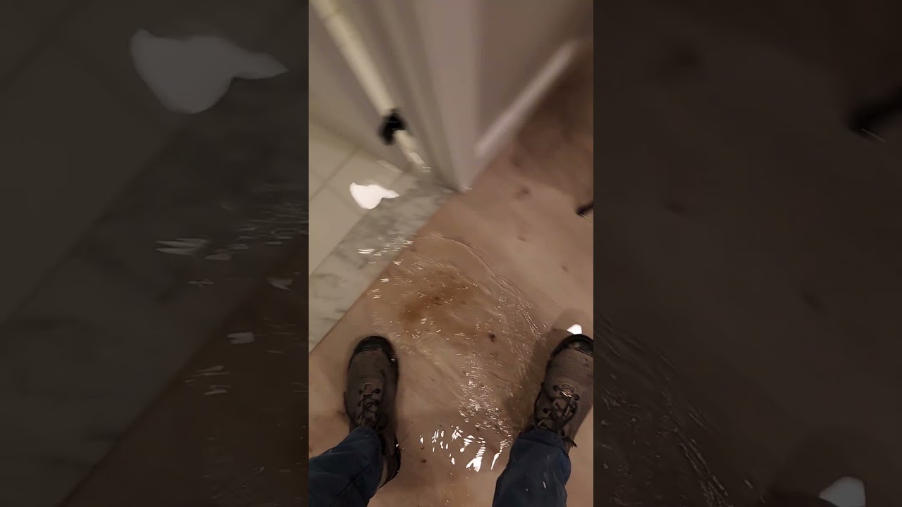 Water Mitigation First walkthrough