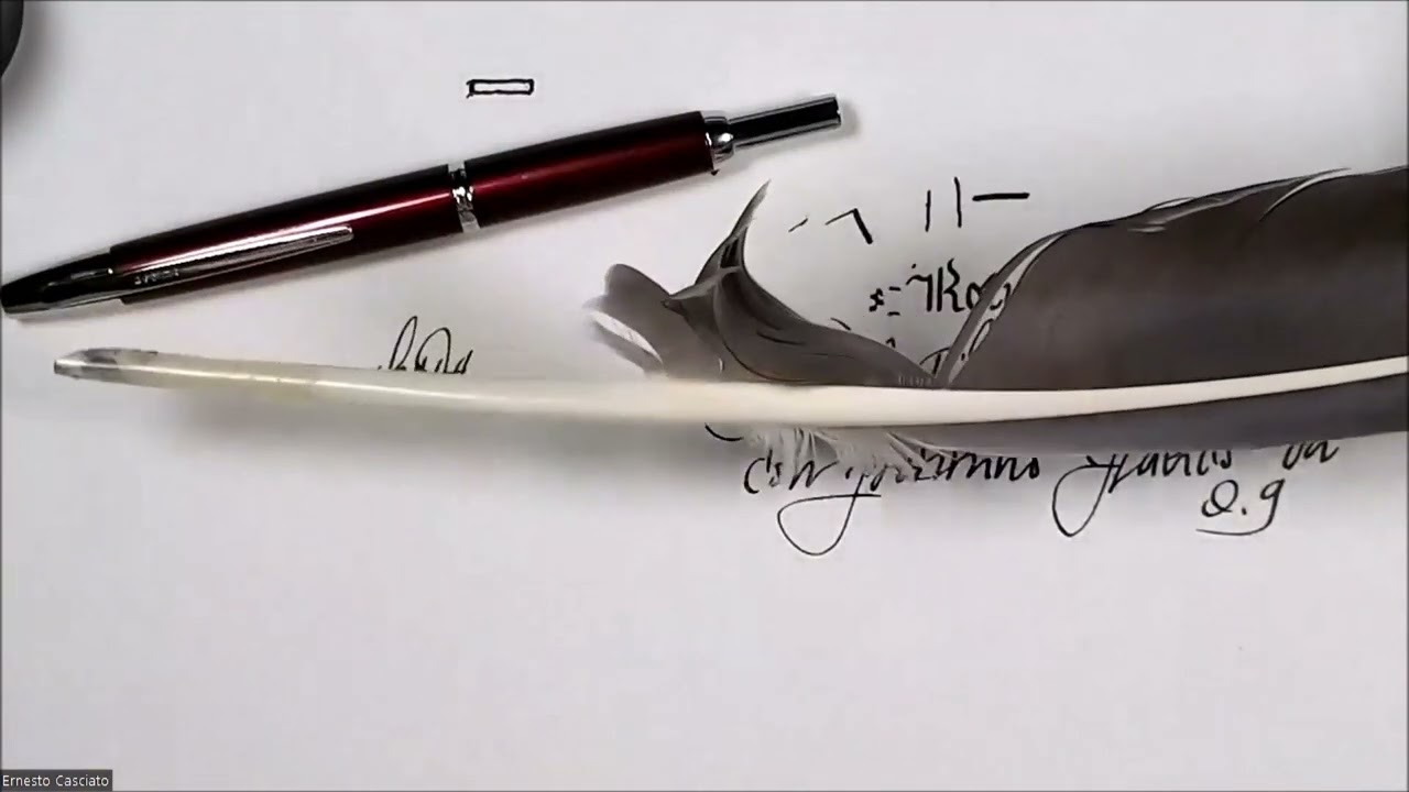 Pilot Capless Decimo Italic 0.9 Stilografica - Ernesto Casciato - C.S.R. Fountain Pen