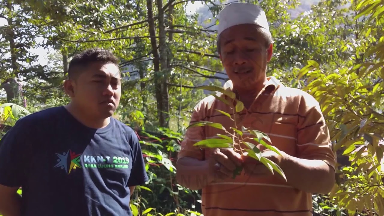 KNM Desa Ujung Berung Kecamatan Sindang Wangi 2019