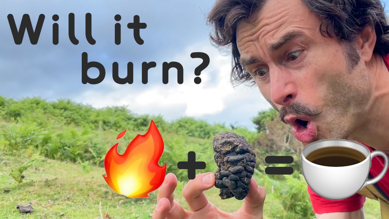 🔥Will it burn? Can I make coffee on sheep poop? 🐑💩