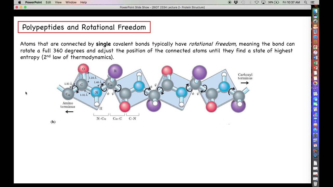 Proteomics - Protein Structure Lecture, Part 1 - Amino Acids