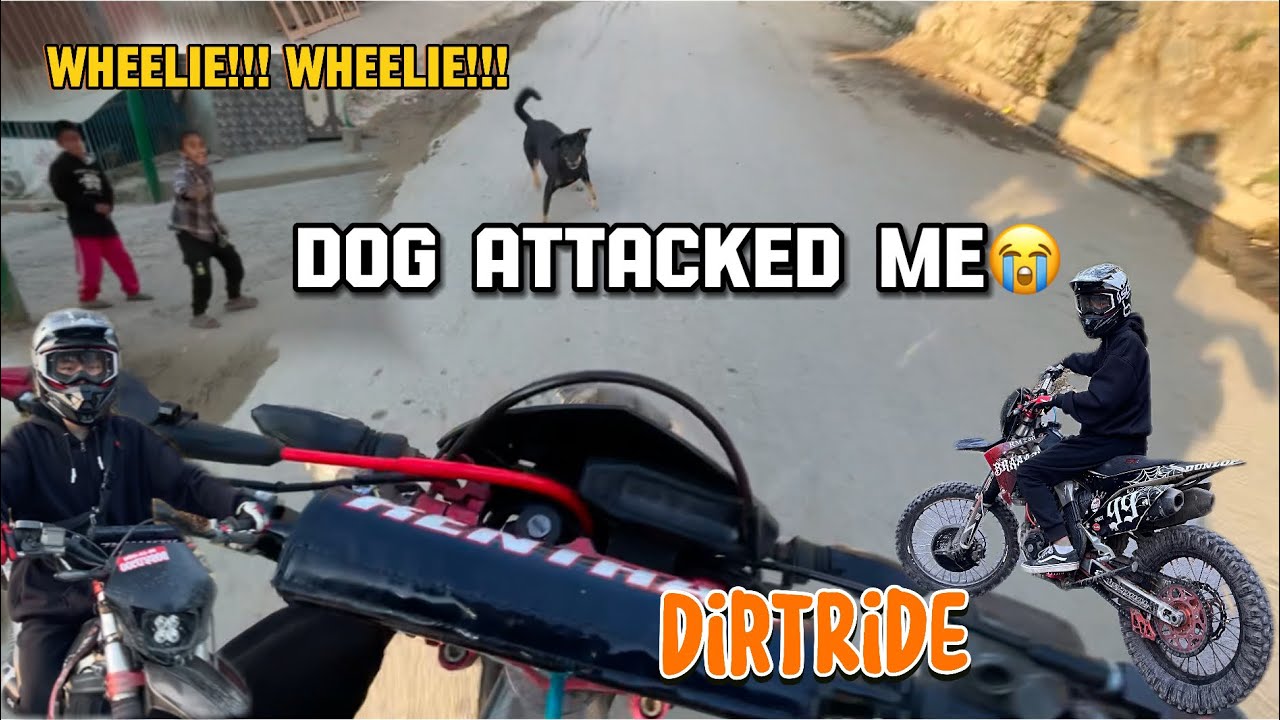 Unlimited Wheelie😱😱//Dog attacked me😭//Daily vlog//Crossfire RM250🔥