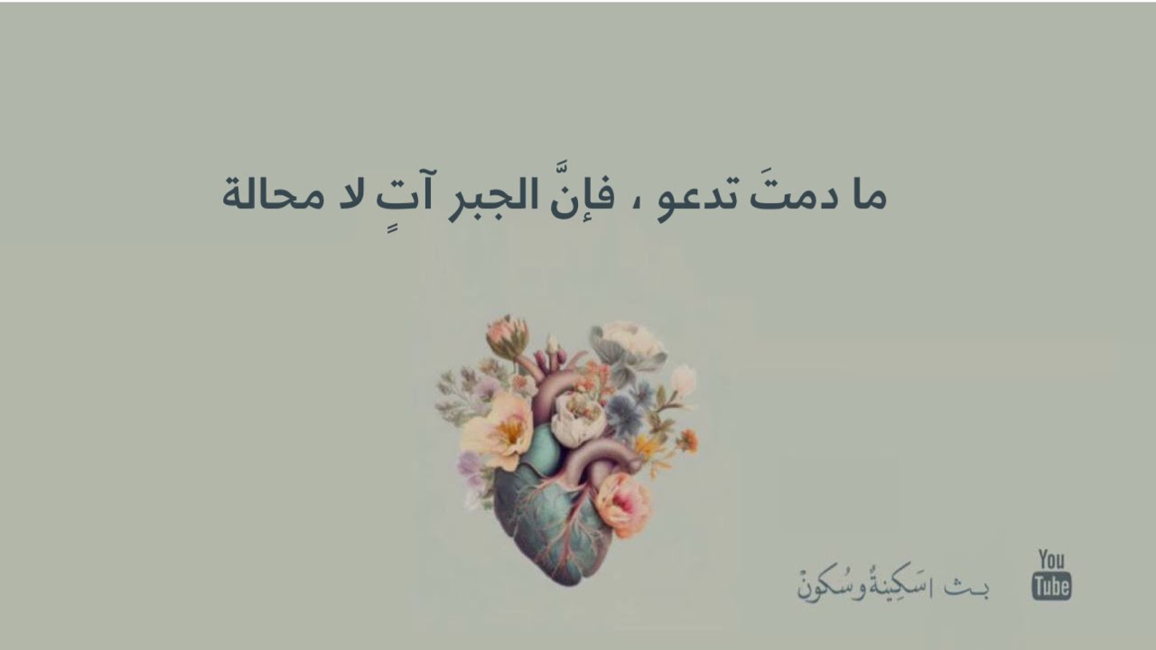 بث | سكينة وسكون [ ما دمتَ تدعو ، فإنَّ الجبر آتٍ لا محالة ] .