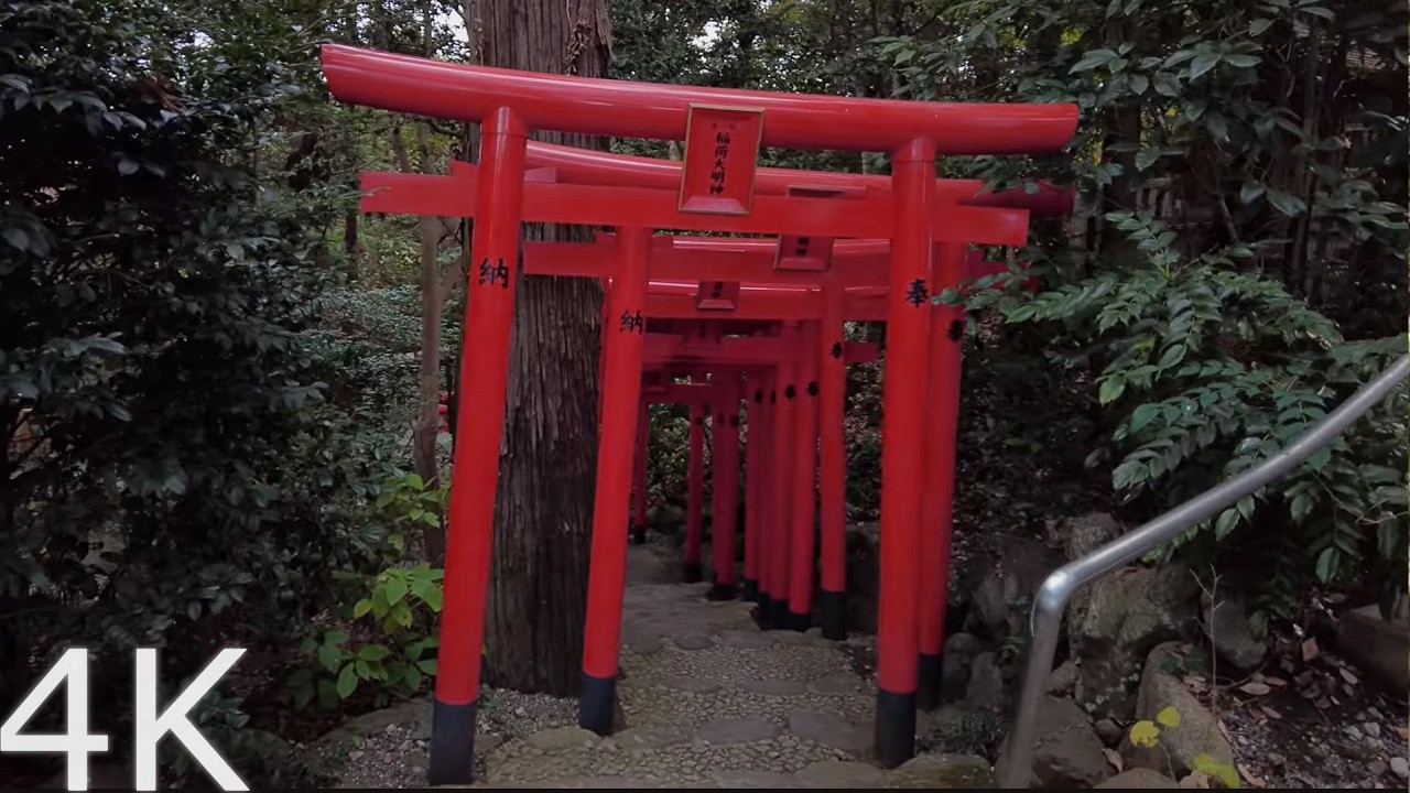 【4K】Japan's Original Landscape: Satoyama Walk - Shibusawa Hills