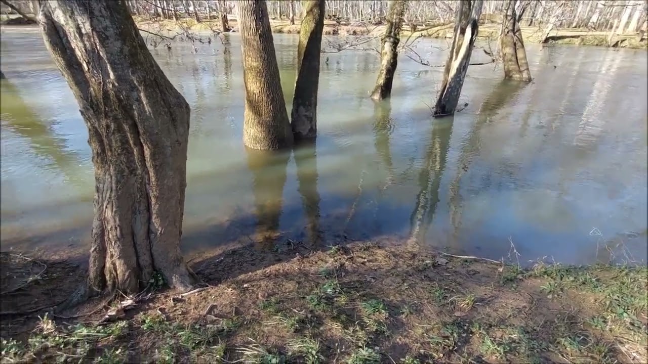 Floodplain, Before And After.
