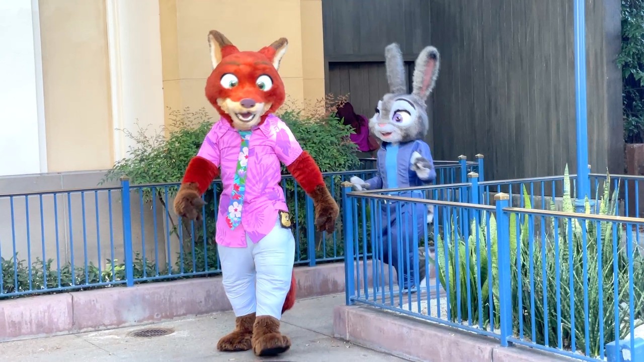 Nick Wilde & Judy Hopps Interacting w/Guests at Disney California Adventure Zootopia 2 Meet & Greet