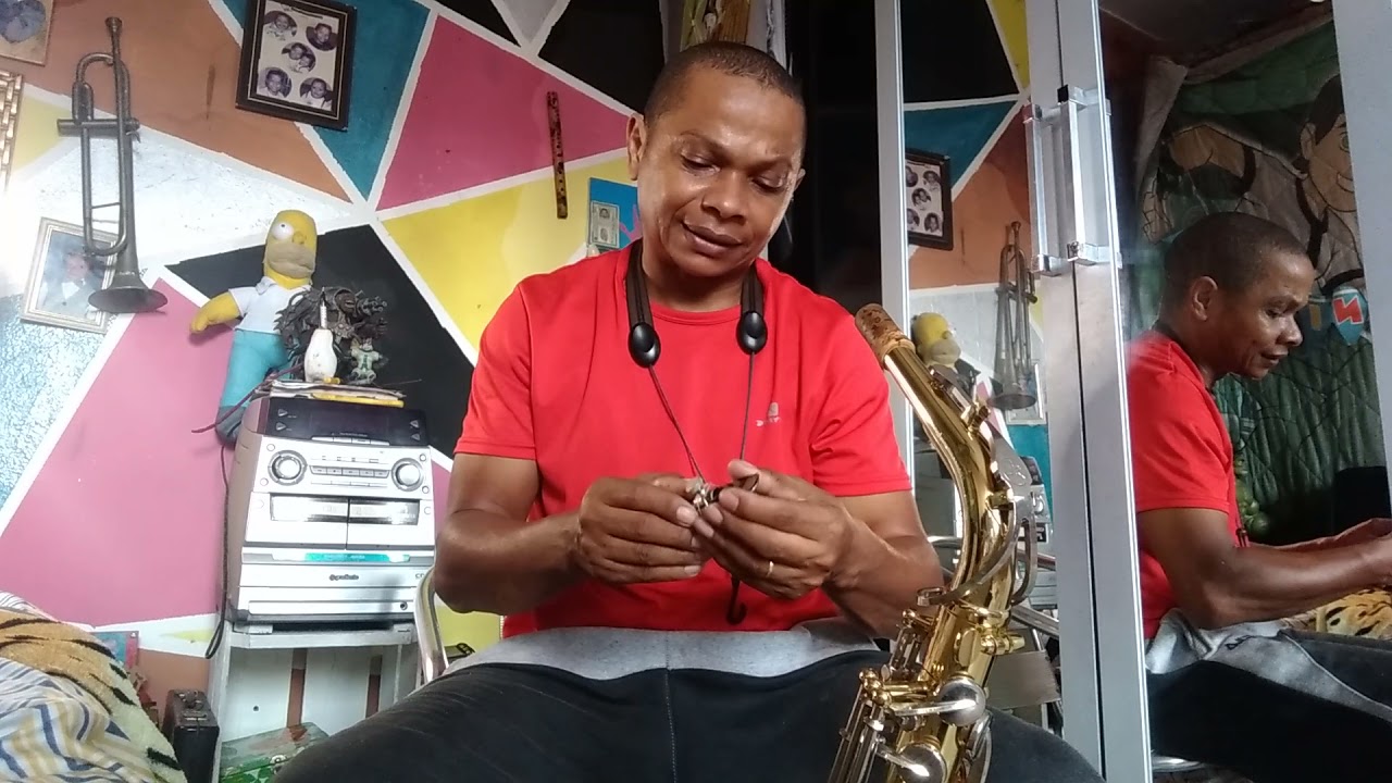 Palheta plastireed dark sax alto dica para comprar