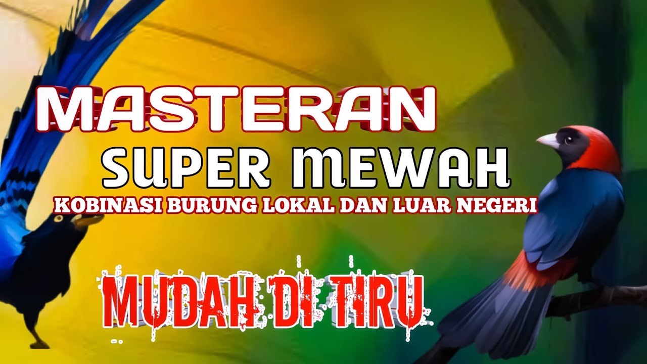 2 jam masteran SUPER MEWAH kombinasi burung lokal dan luar negeri mudah masuk