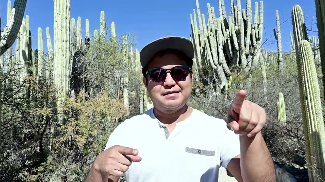 Jardín Botánico Helia Bravo Hollies - PIPOPE RUTAS - ZAPOTITLÁN SALINAS