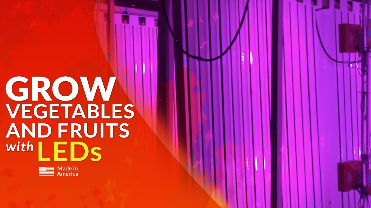 Best Indoor LED Grow Lights - CA Lightworks SolarStorm&trade; Commercial Grow Lights!