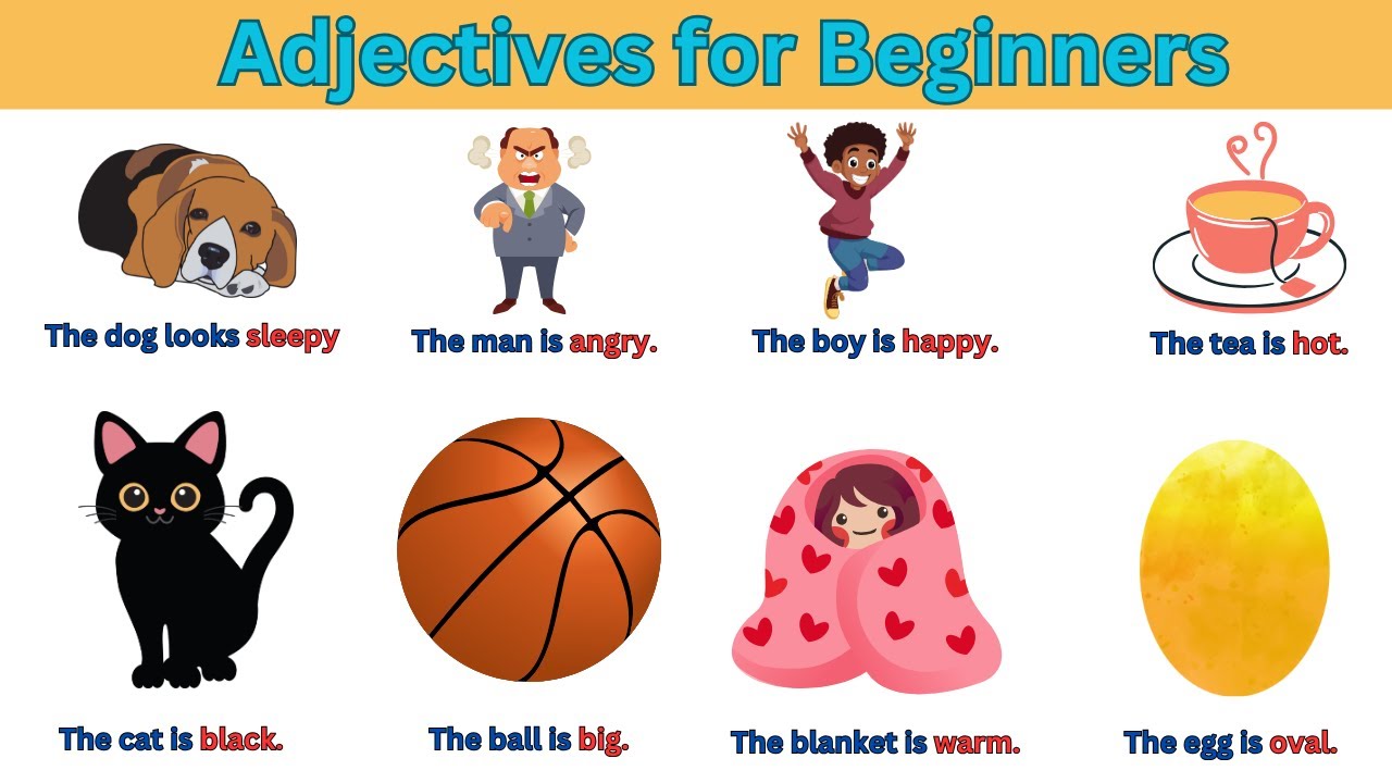 More than 50 comparative adjectives | English for Kids | English Vocabulary | #englishlearningvideo