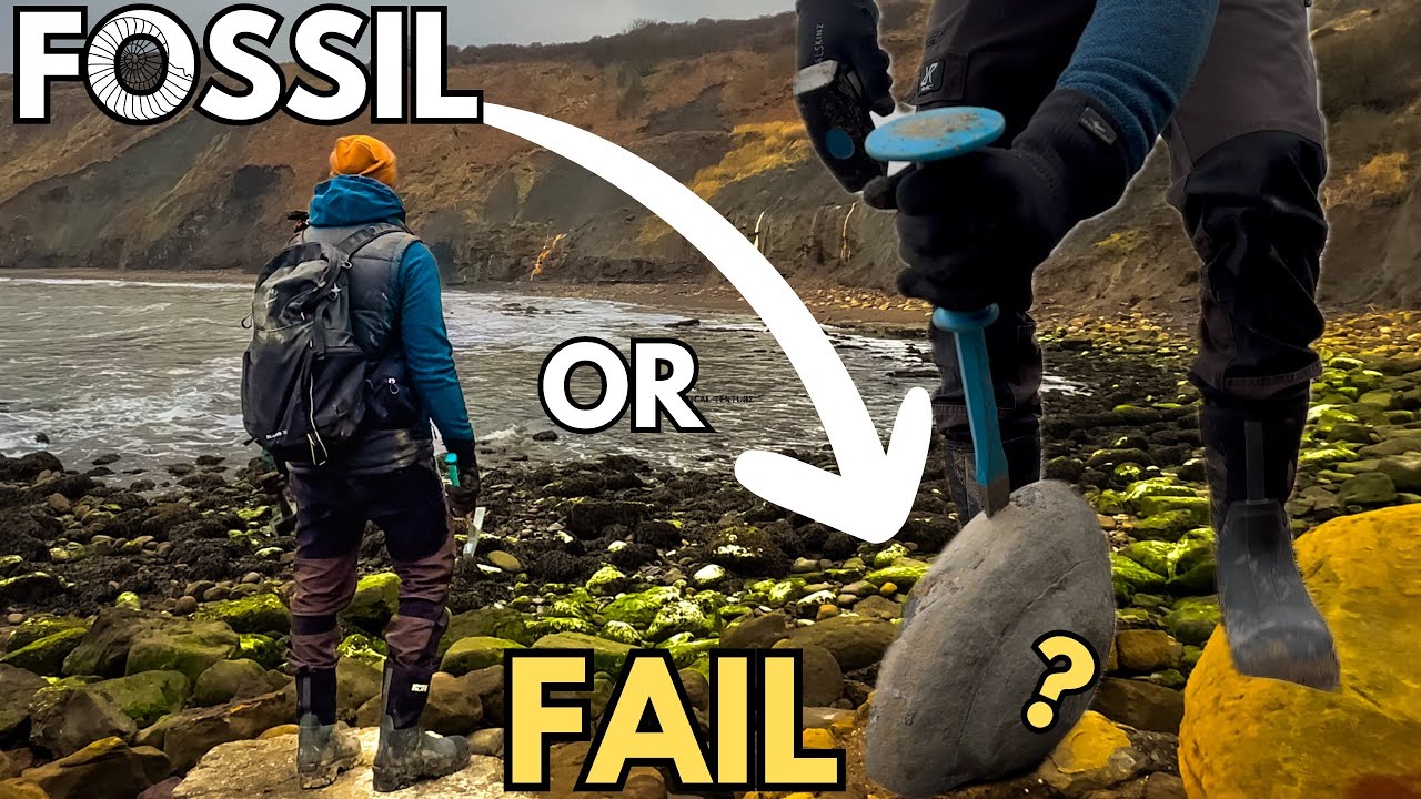 Jurassic fossil hunting in Yorkshire