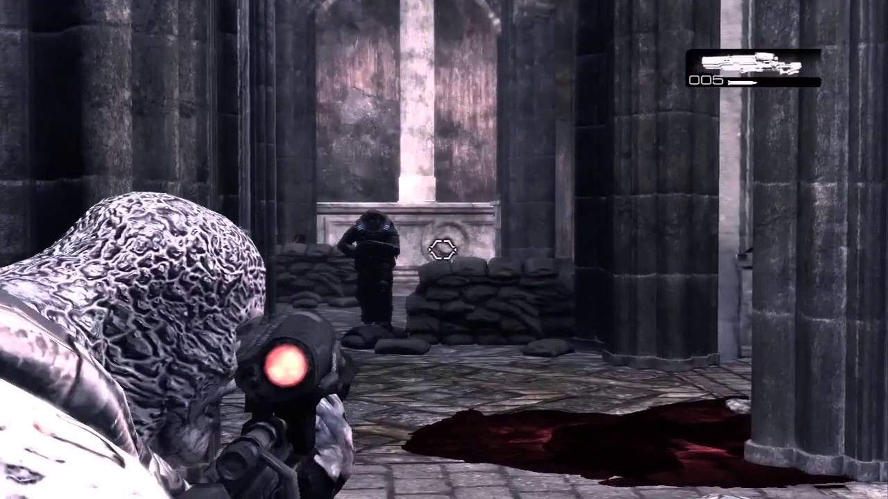 Carmey #7