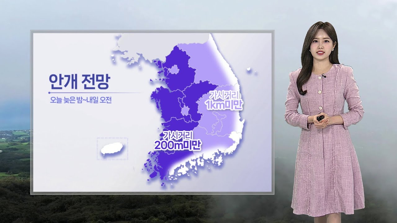[날씨] 내일 전국 공기질 탁해…수도권·영서 비상저감조치
 / 연합뉴스TV (YonhapnewsTV)