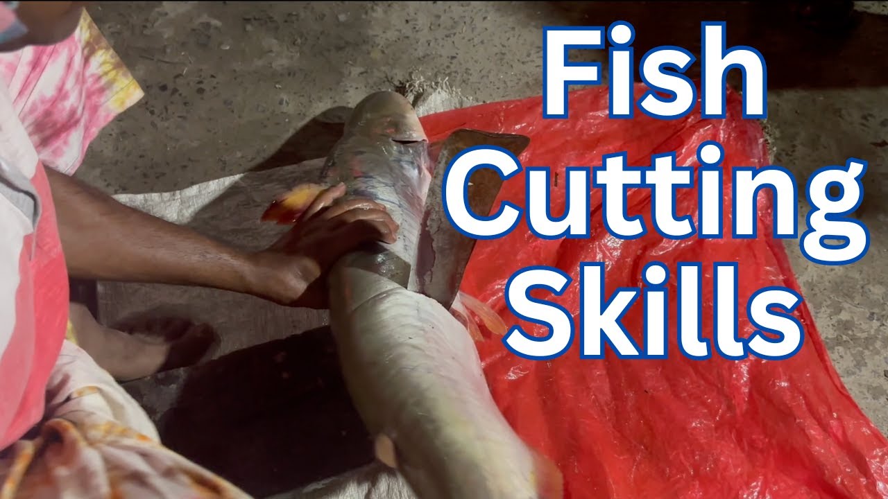 Fish Cutting Skills: 10 KG Fresh Pangasius Traditional Fish Cutting in Local Market