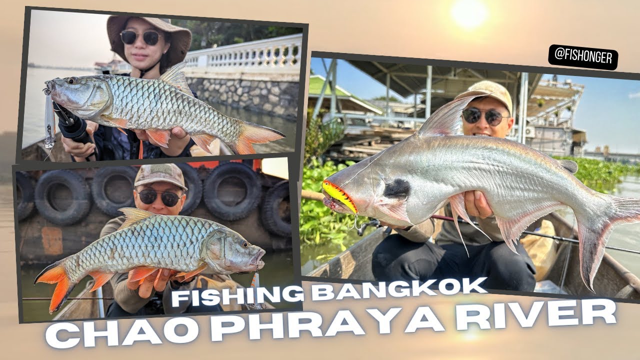 Fishing Bangkok - The Chao Phraya River | ตกปลาแม่น้ำเจ้าพระยา | 4K Video