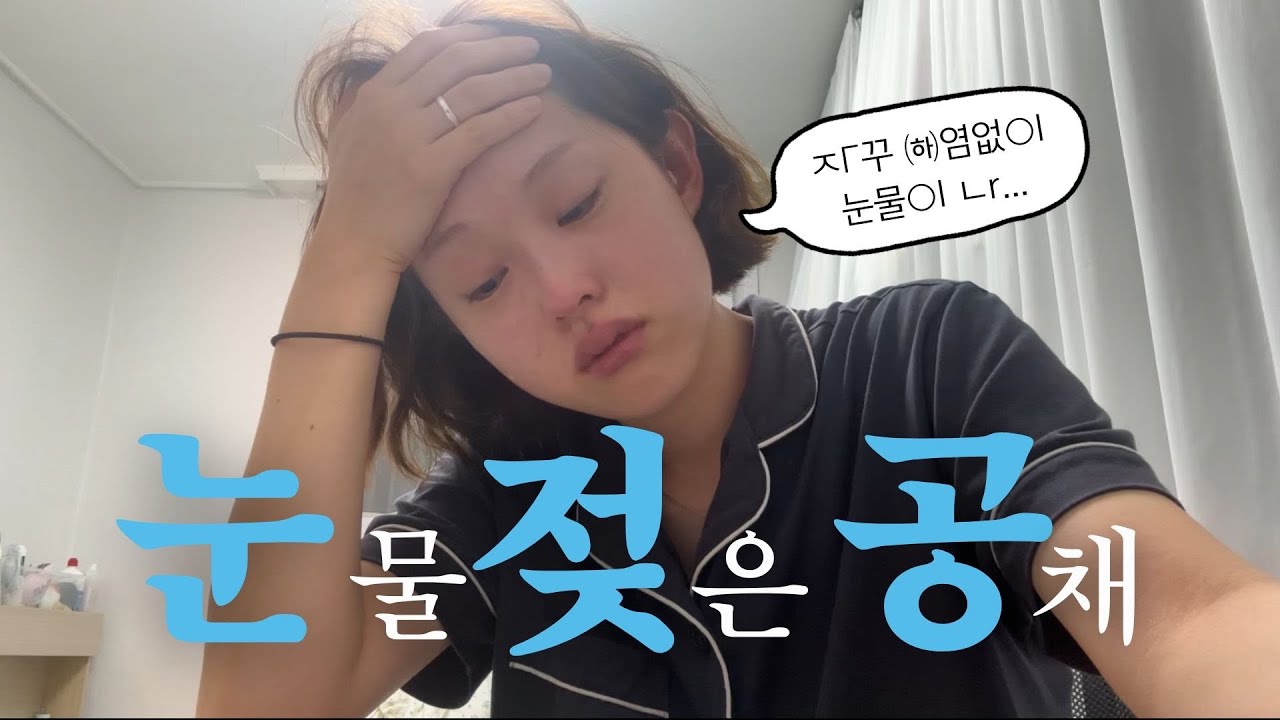 취준생의 눈물 젖은 공채파이