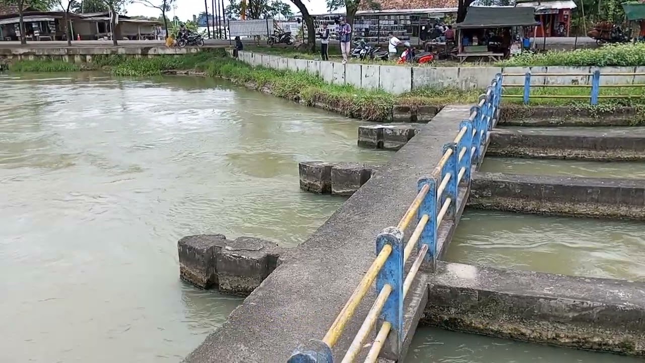 Spot Mancing Kalimalang - Jembatan Siphon Cibeet perbatasan Karawang - Cikarang