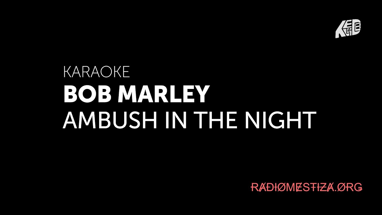 Bob Marley _ Ambush in the night - KARAOKE