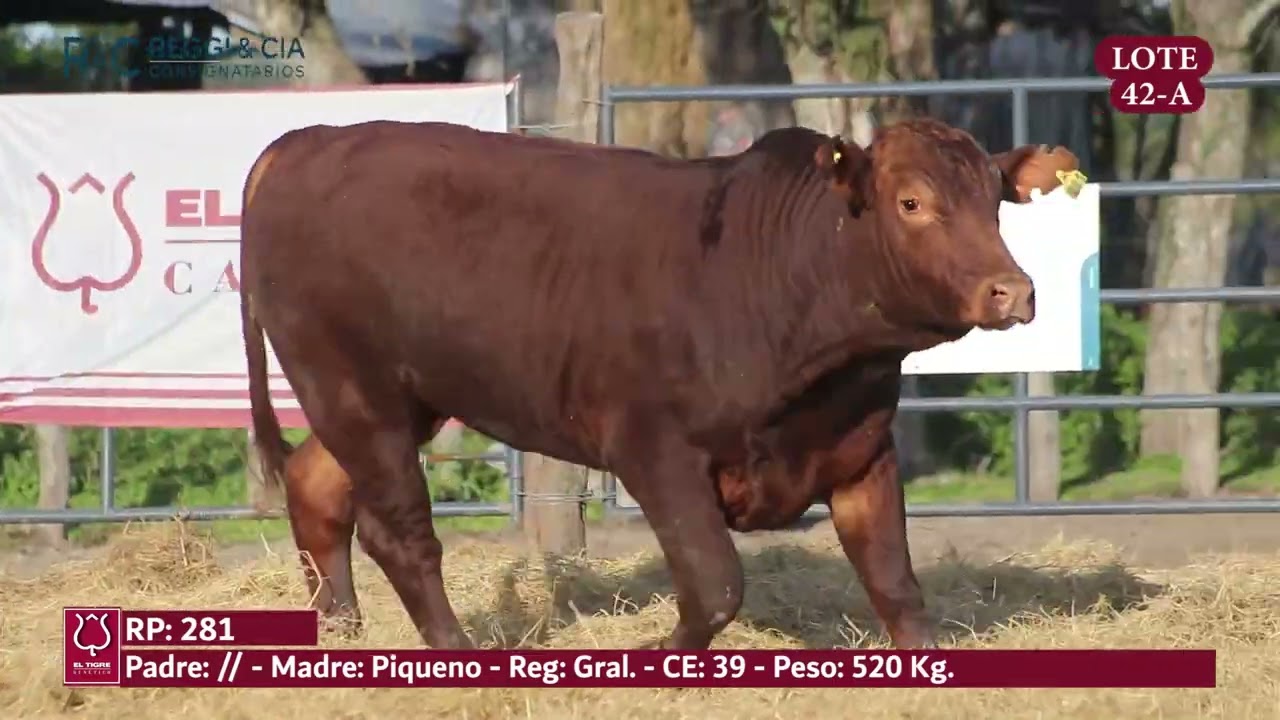 LOTE 42A
