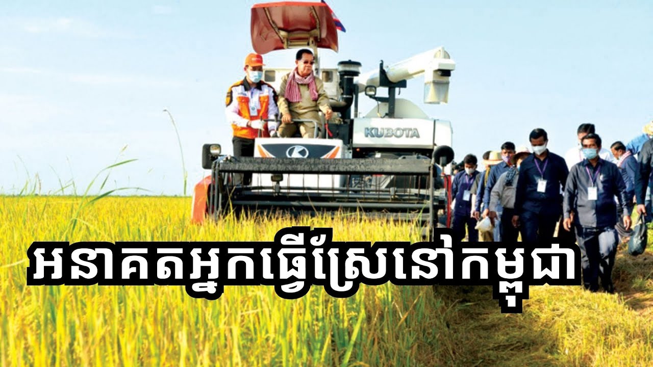 កសិករធ្វើ​ស្រែ​ ​ចំណេញ​តាម​វិធីណា? / Cost of doing rice field