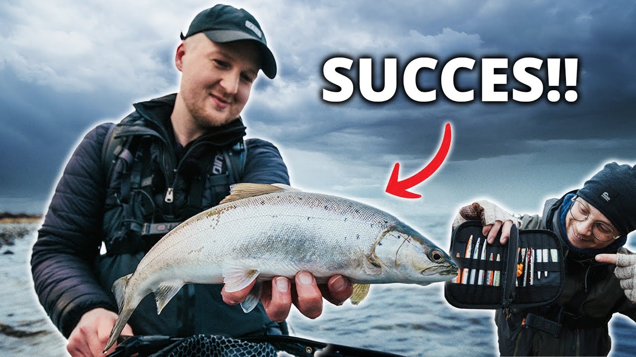Fra Nulture Til Succes! Hav&oslash;rrederne V&aring;gner Igen 🎣