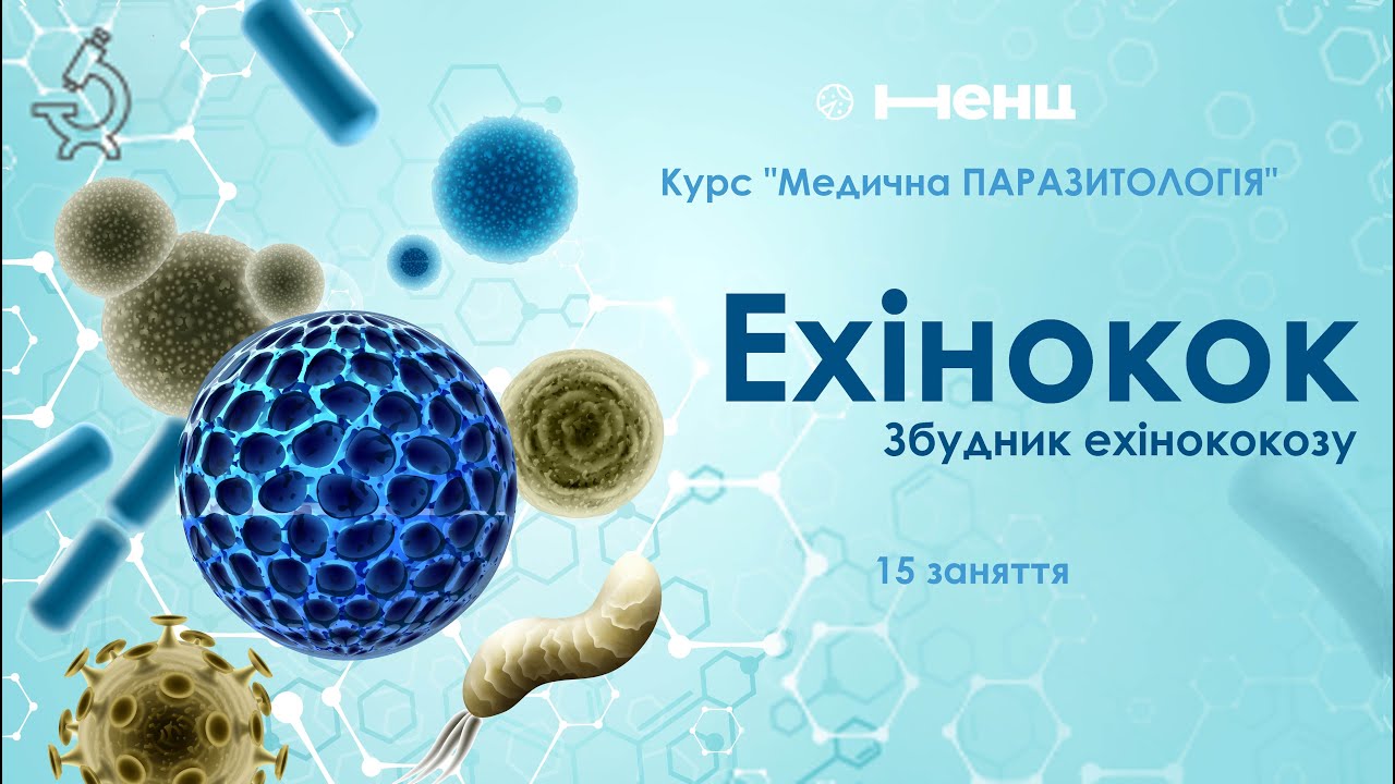 Ехінокок. Гельмінтологія