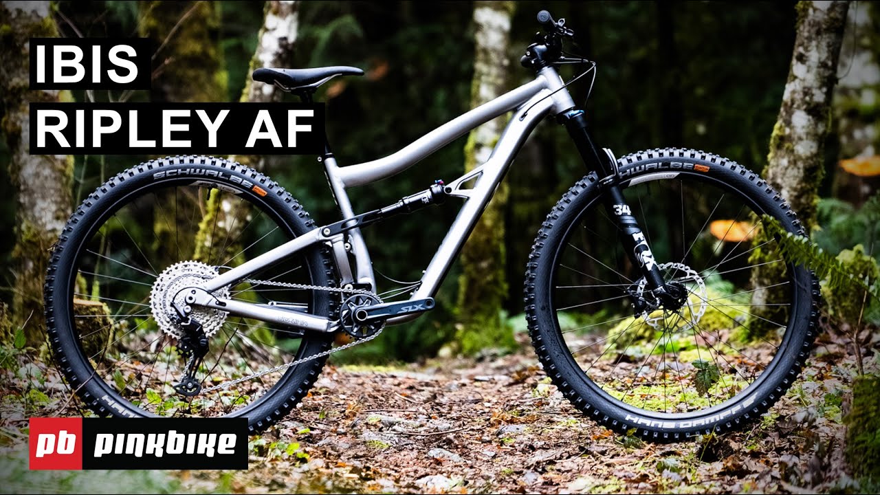 2021 Ibis Ripley AF: Value Alloy Trail Ripper | First Look