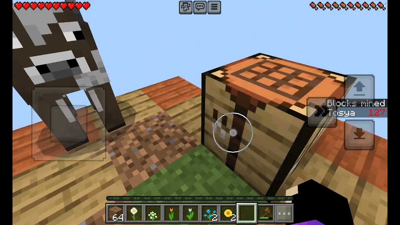 * Тося проходит 1 блок в пустоте